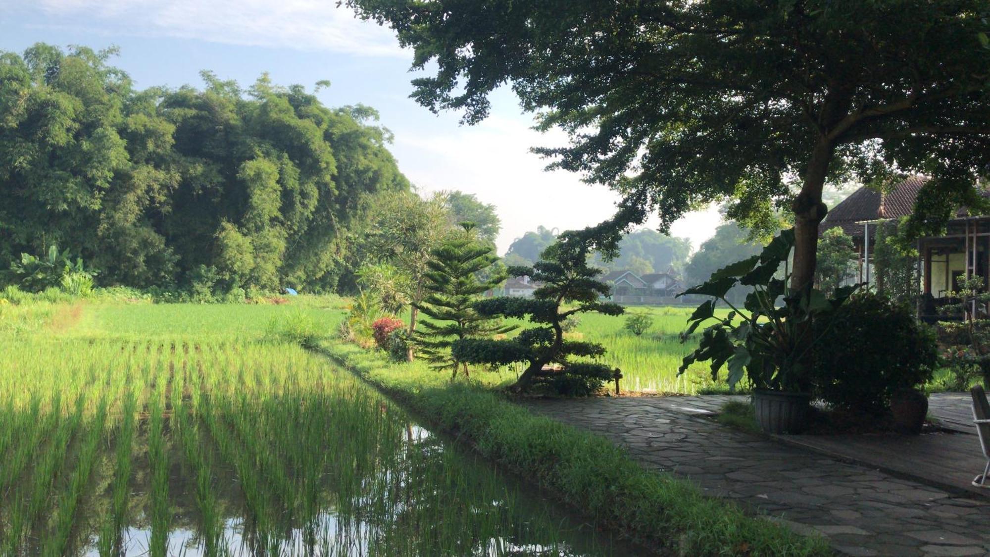 Lotus 2 Guest House Magelang Exterior foto